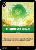 Remember Who You Are - 97/204 - Shimmering Skies